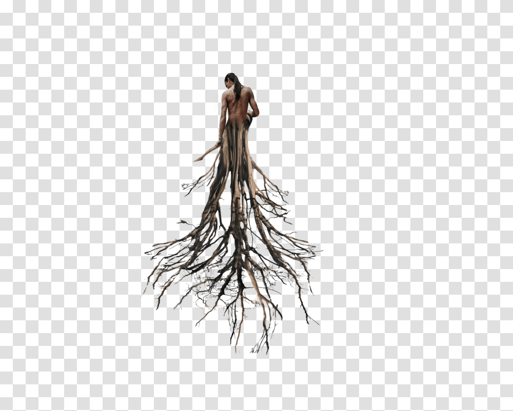 Tree Roots Tree Roots The Writing Tree Old House, Collage, Poster, Advertisement Transparent Png