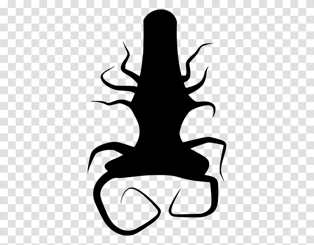 Tree Roots Twisted Black Silhouette Plant Akar, Gray, World Of Warcraft Transparent Png