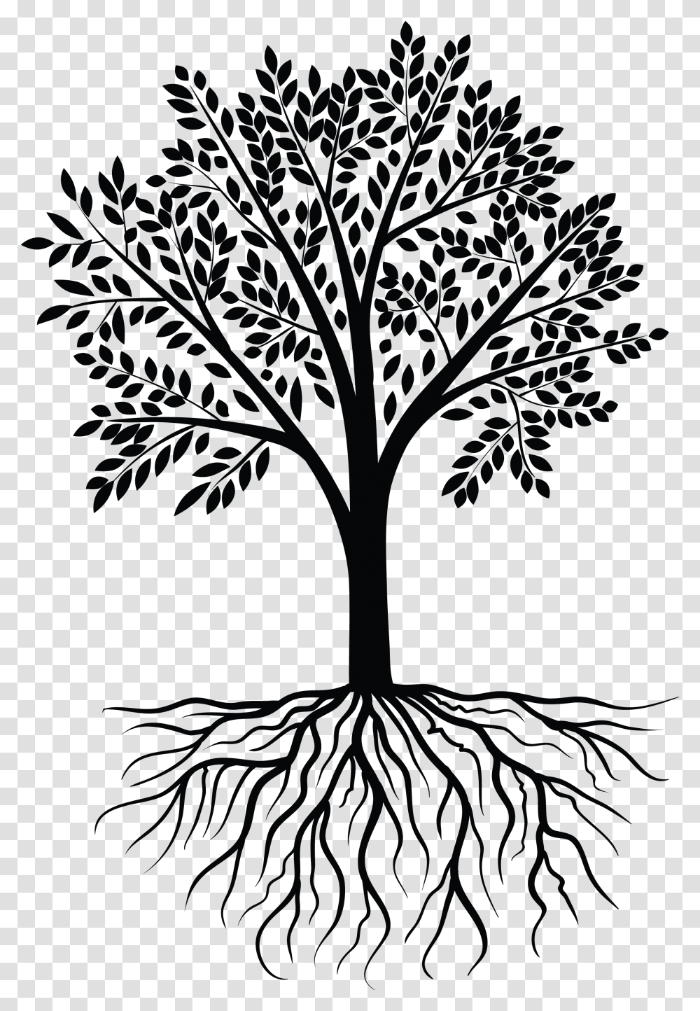 Tree Roots Vector, Plant, Cross, Stencil Transparent Png