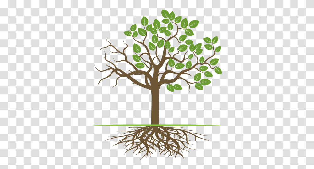 Tree Rx Tree With Roots Branches And Leaves, Plant, Rug, Tree Trunk, Oak Transparent Png