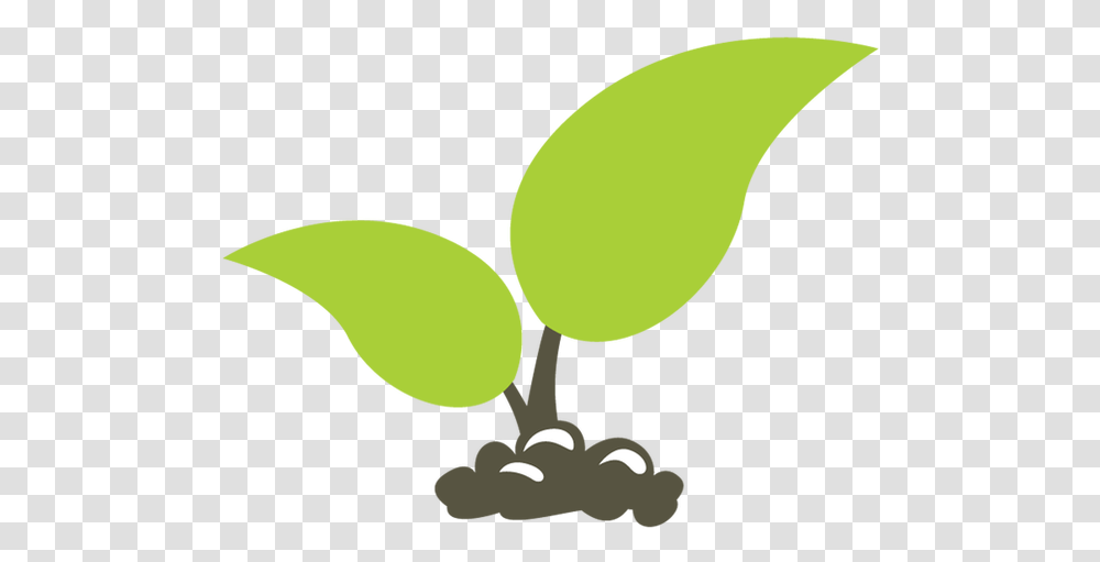 Tree Seedling Cartoon Seedling Background, Tennis Ball, Plant, Fruit, Food Transparent Png