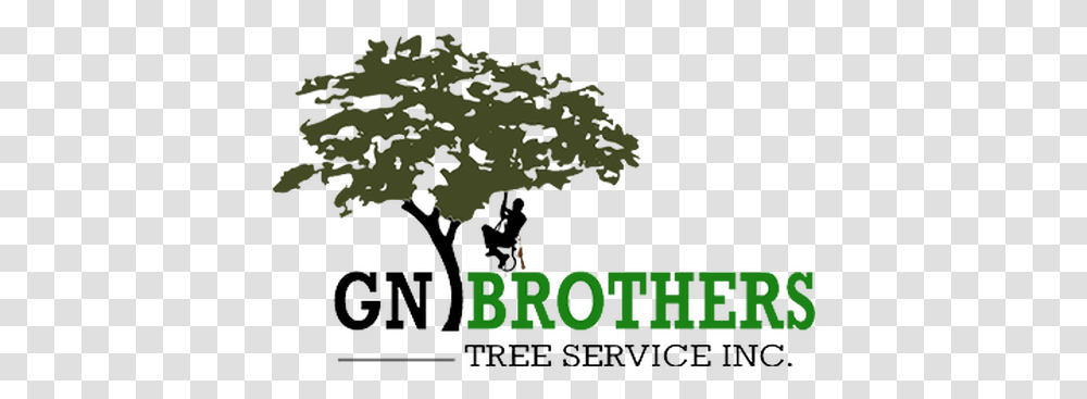 Tree Service Gn Brothers United States Interior Design, Vegetation, Plant, Nature, Outdoors Transparent Png