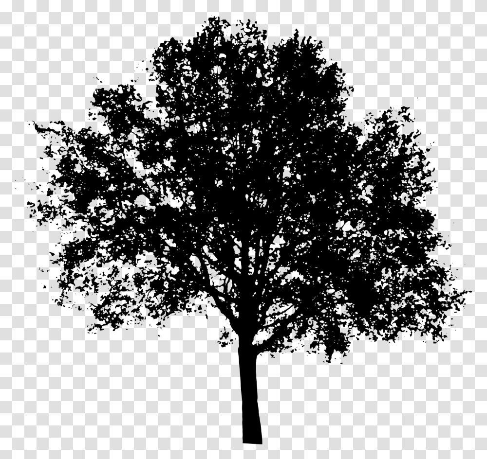 Tree Shadow Silhouette Tree Vector, Gray, World Of Warcraft Transparent Png