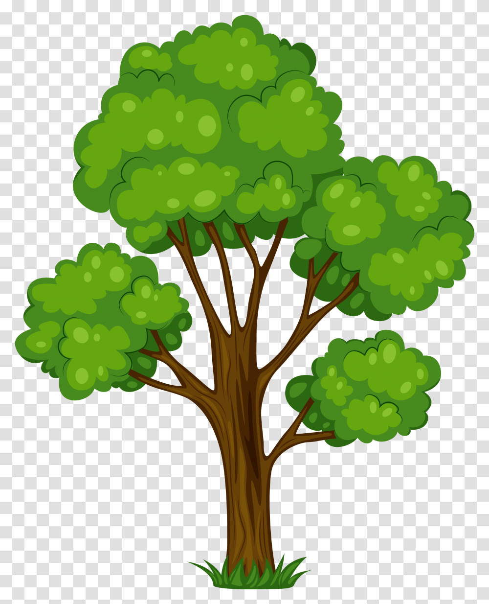 Tree Shrub Cartoon Clip Art Clipart Of Tree, Plant, Pattern, Grapes, Fruit Transparent Png