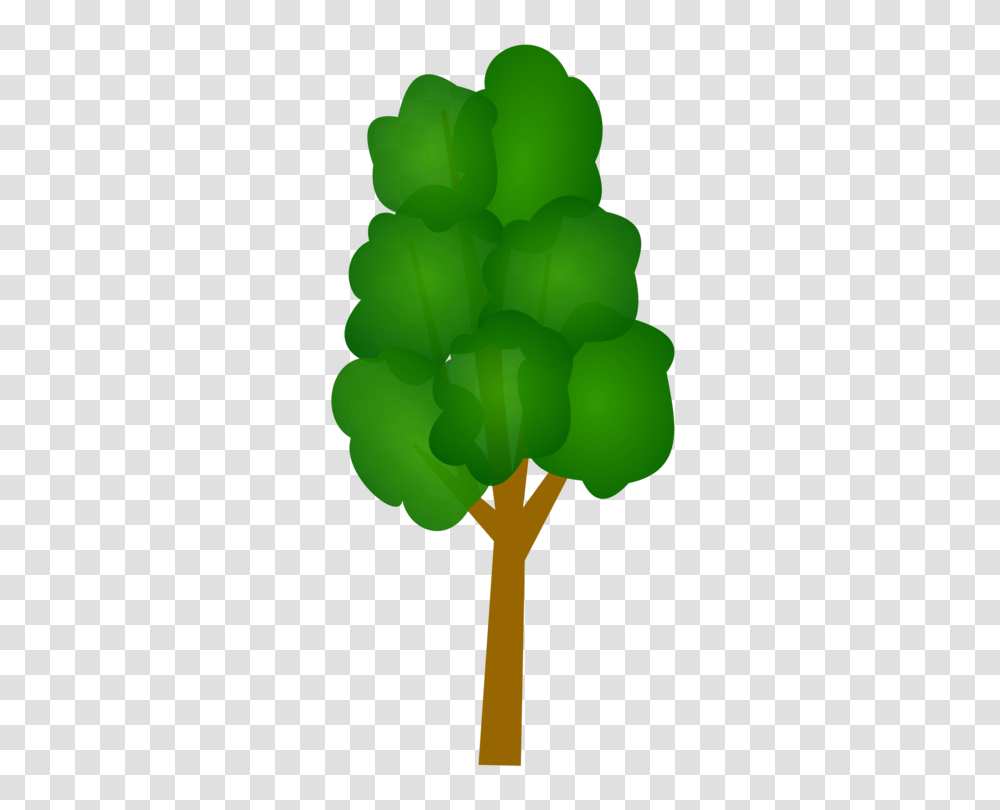 Tree Shrub Trunk, Green, Plant, Vegetable, Food Transparent Png
