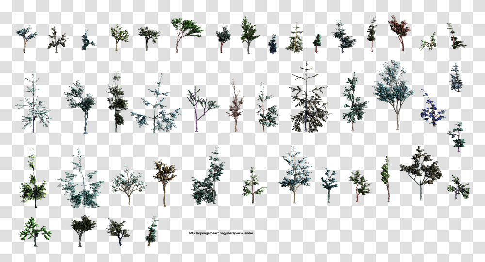 Tree Side View, Plant, Ornament, Conifer, Pattern Transparent Png