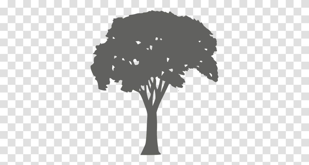 Tree Silhouette 13 & Svg Vector File Silueta De Rbol, Plant, Bird, Animal, Bush Transparent Png