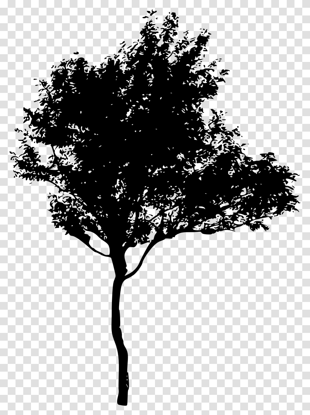 Tree Silhouette 2 Silhouette Of A Tree, Plant, Stencil, Leaf, Tree Trunk Transparent Png