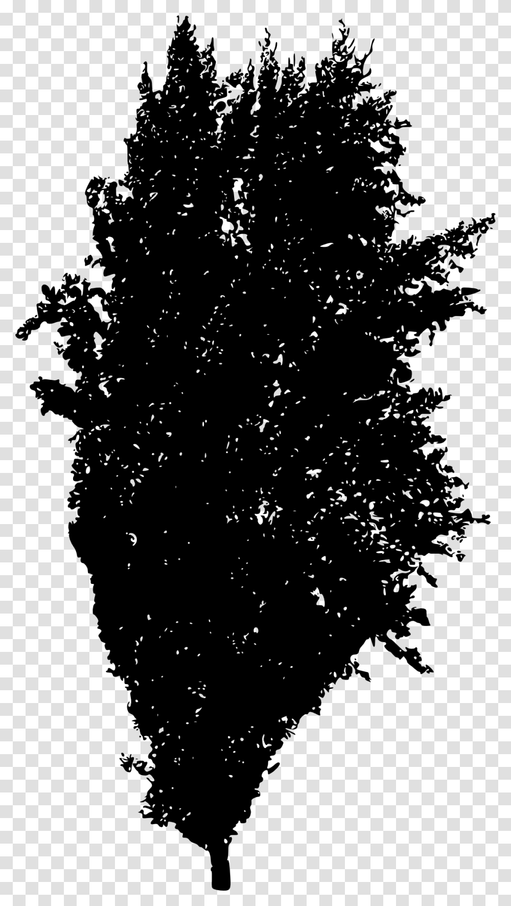Tree Silhouette 2 Woody Plant, Christmas Tree, Ornament, Stencil, Hair Transparent Png
