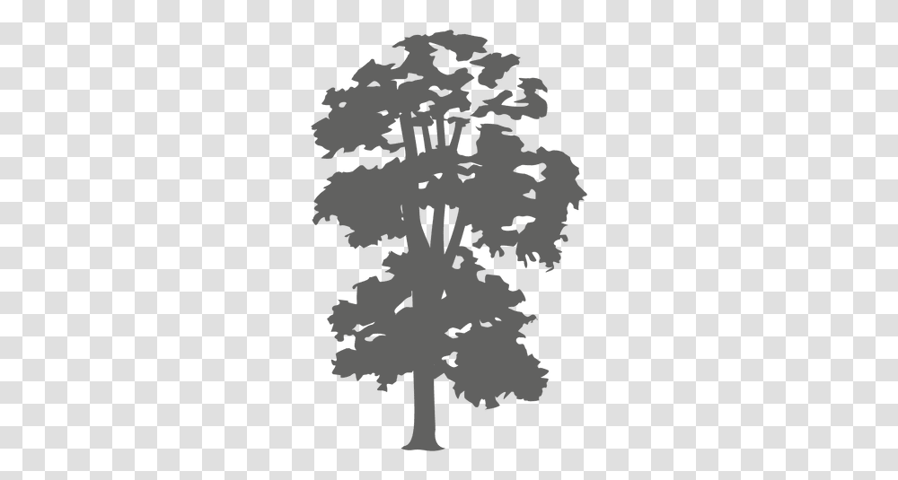 Tree Silhouette 3 & Svg Vector File Swamp Maple, Stencil, Animal, Flock, Gray Transparent Png