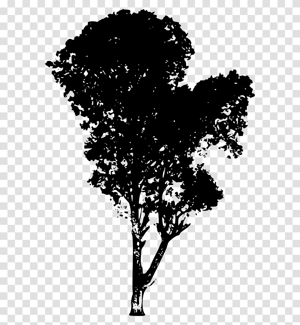 Tree Silhouette Background Silhouette Trees, Plant, Tree Trunk, Green, Oak Transparent Png
