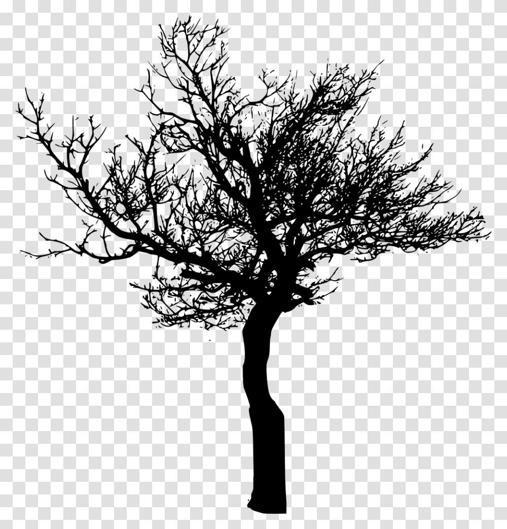 Tree Silhouette Background Tree Silhouette, Plant, Tree Trunk, Stencil, Leaf Transparent Png