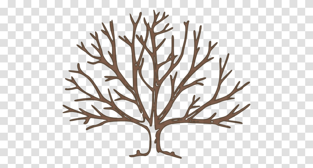 Tree Silhouette Bare Tree Clipart, Nature, Plant, Outdoors, Night Transparent Png