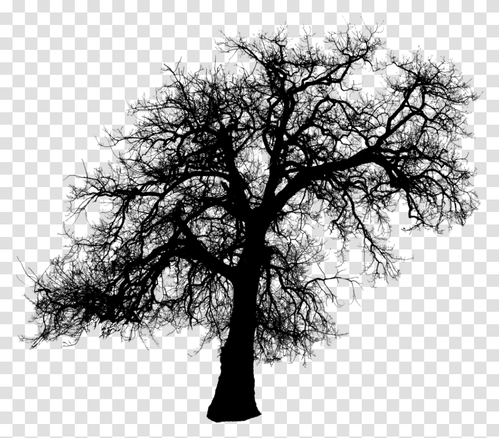 Tree Silhouette Clip Art Creepy Dead Tree Silhouette, Gray, World Of Warcraft Transparent Png