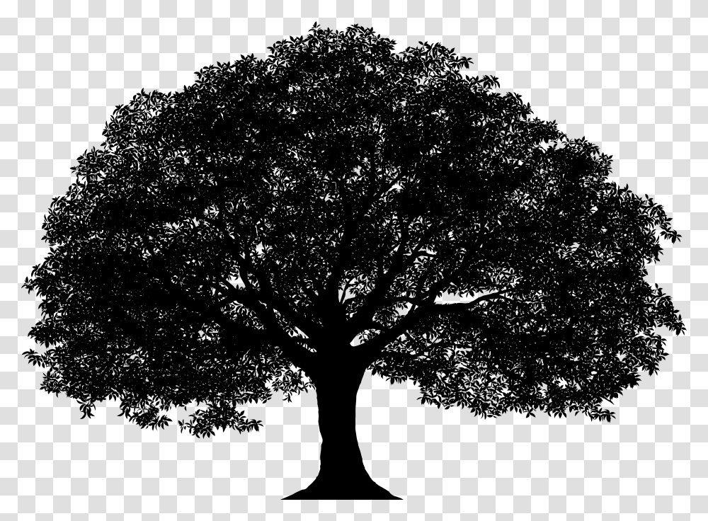 Tree Silhouette Clip Art Image Vector Oak Tree Silhouette, Gray, World Of Warcraft Transparent Png