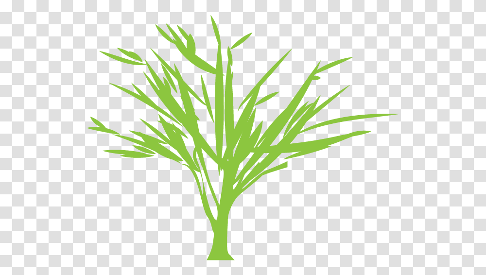 Tree Silhouette Euclidean Vector Green Vector Graphics, Plant, Bush, Vegetation, Food Transparent Png