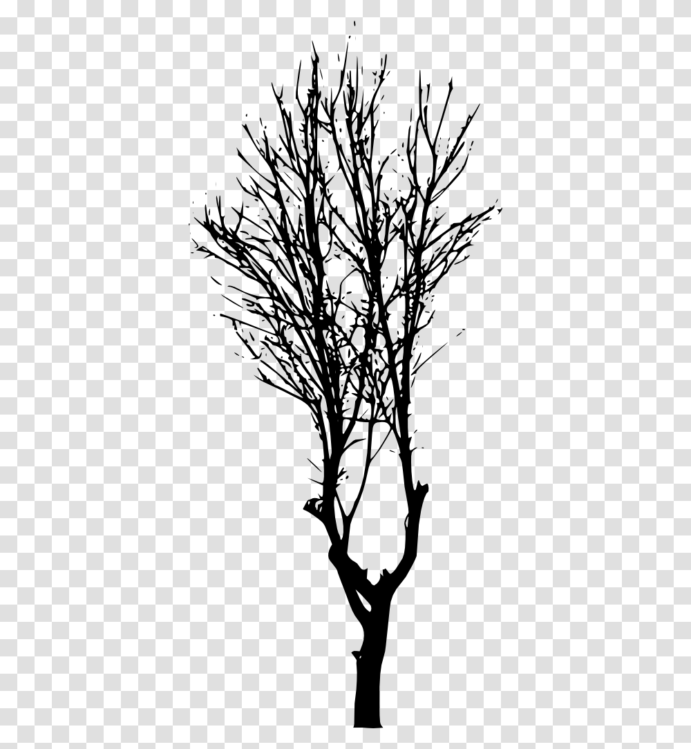 Tree Silhouette Forest Trees Silhouette, Plant, Tree Trunk Transparent Png