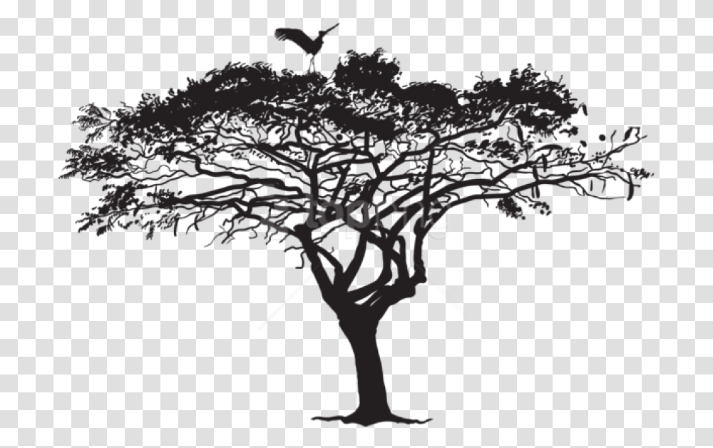 Tree Silhouette Free Exotic Tree And Bird Wilkswood Reggae Festival 2019 Lineup, Dinosaur, Reptile, Animal, Hand Transparent Png