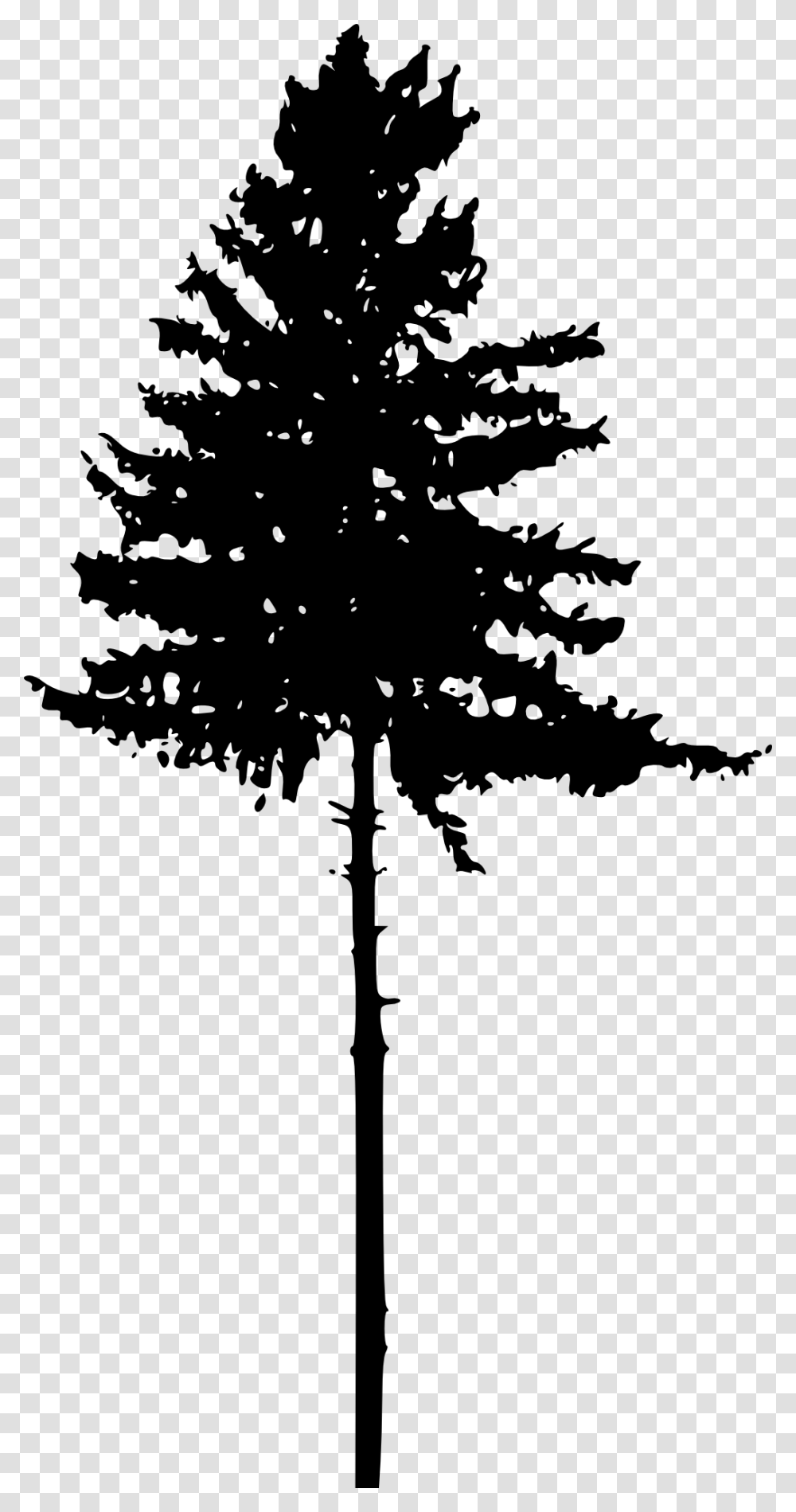 Tree Silhouette No Background, Plant, Pine, Fir, Abies Transparent Png