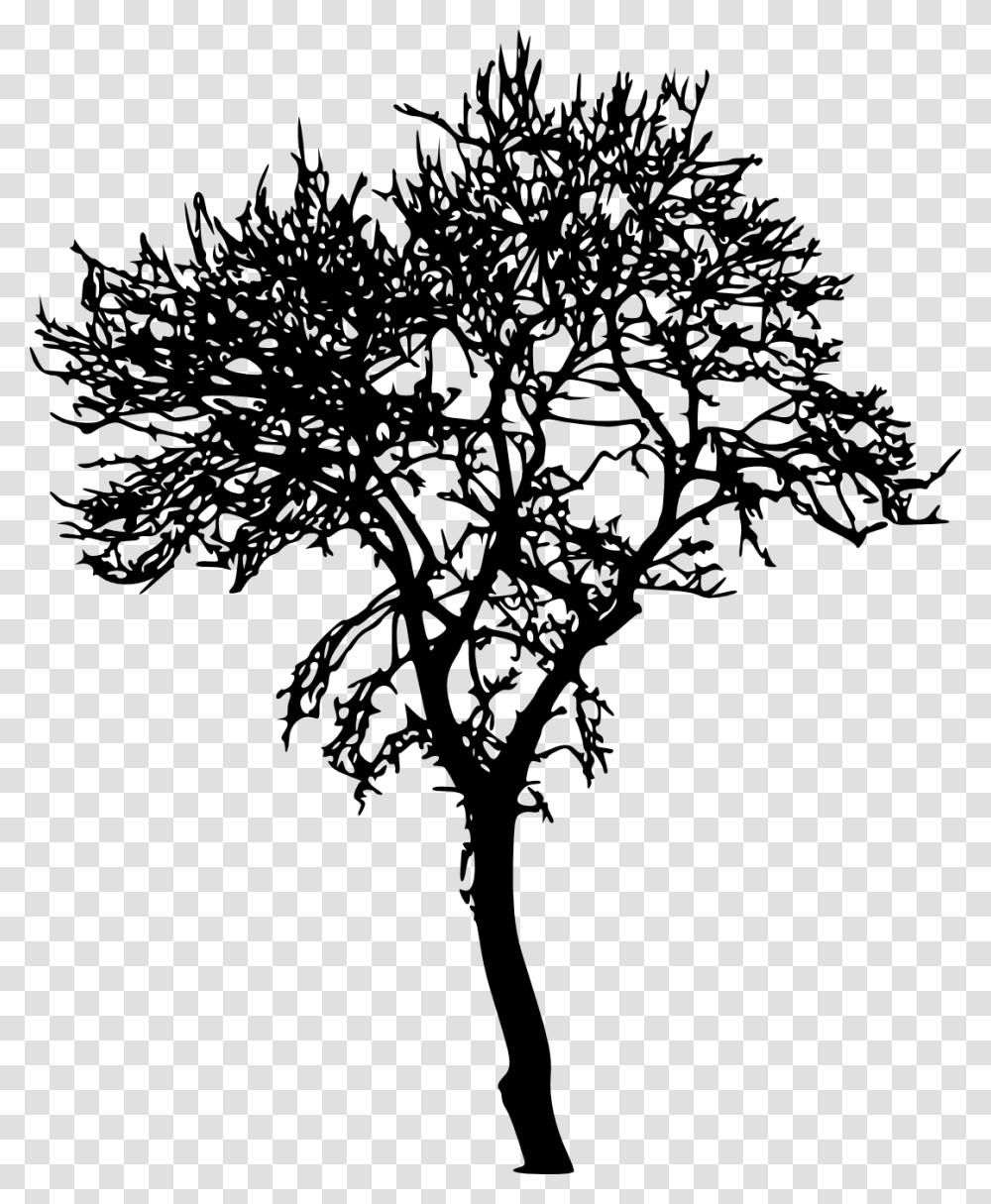 Tree Silhouette No Background, Plant, Stencil, Leaf, Cross Transparent Png