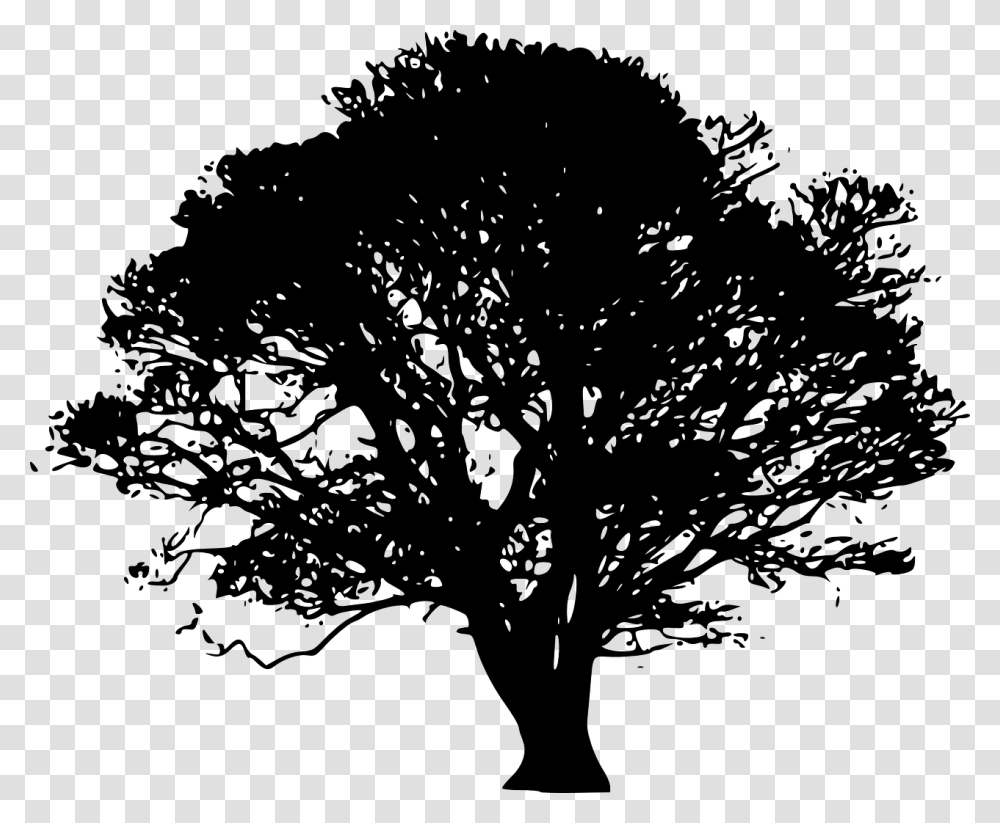 Tree Silhouette Oak Clip Art Oak Tree Silhouette, Gray Transparent Png