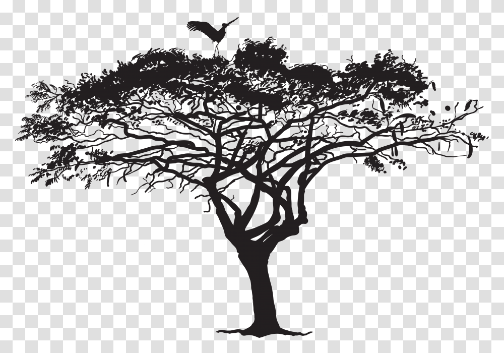 Tree Silhouette Photography Tree With Bird Silhouette, Plant, Nature, Lighting, Oak Transparent Png
