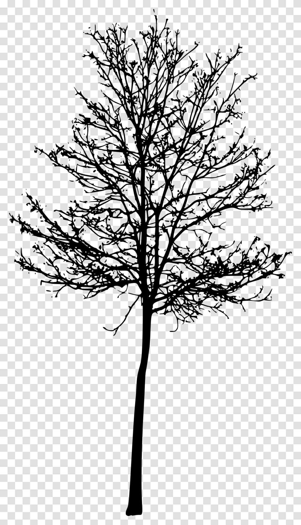 Tree Silhouette Roots Tree With Roots Silhouettes, Plant, Oak, Stencil, Leaf Transparent Png