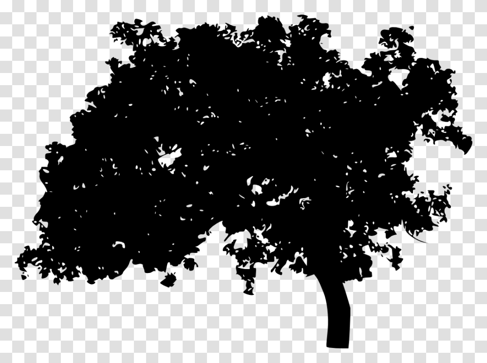 Tree Silhouette Silhouettes Background, Plant, Stencil, Tar, Maple Transparent Png