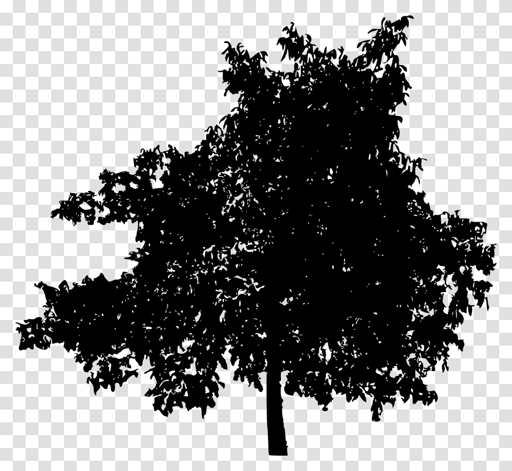 Tree Silhouettes Background Deciduous Tree Silhouette, Plant, Stencil, Christmas Tree, Ornament Transparent Png