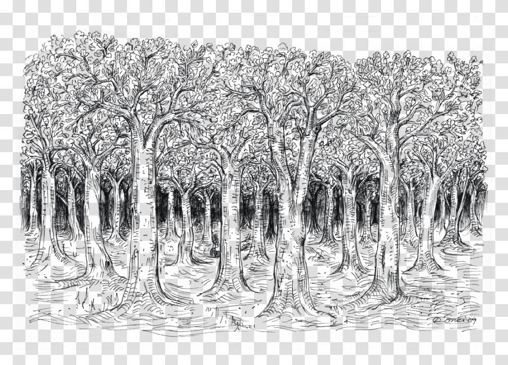 Tree Sketch, Nature, Outdoors, Night, Outer Space Transparent Png