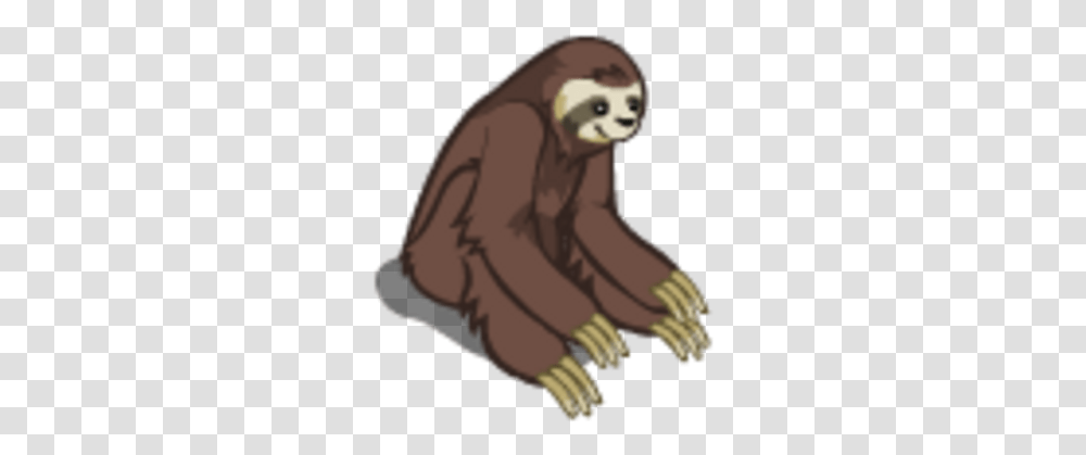Tree Sloth Pygmy Sloth, Wildlife, Animal, Person, Human Transparent Png