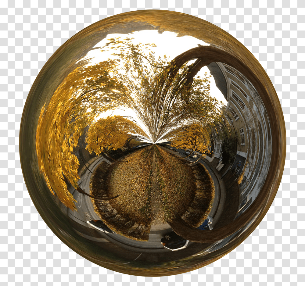 Tree, Sphere, Fisheye, Floor, Light Transparent Png