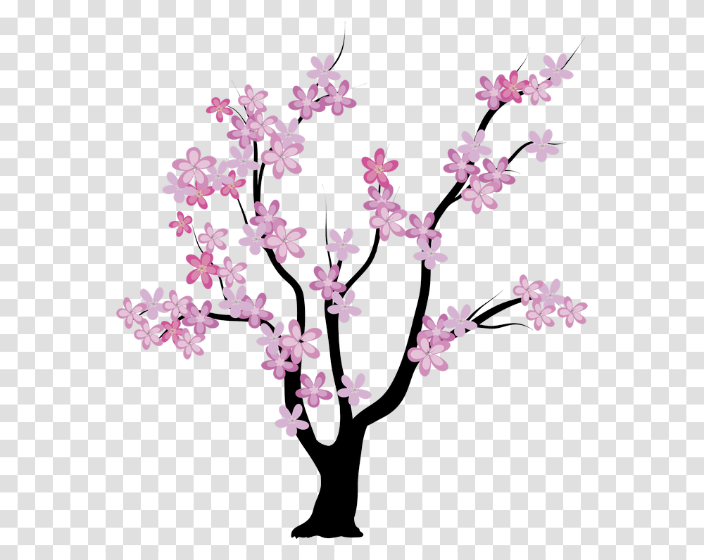 Tree Spring Album, Plant, Flower, Blossom, Cherry Blossom Transparent Png