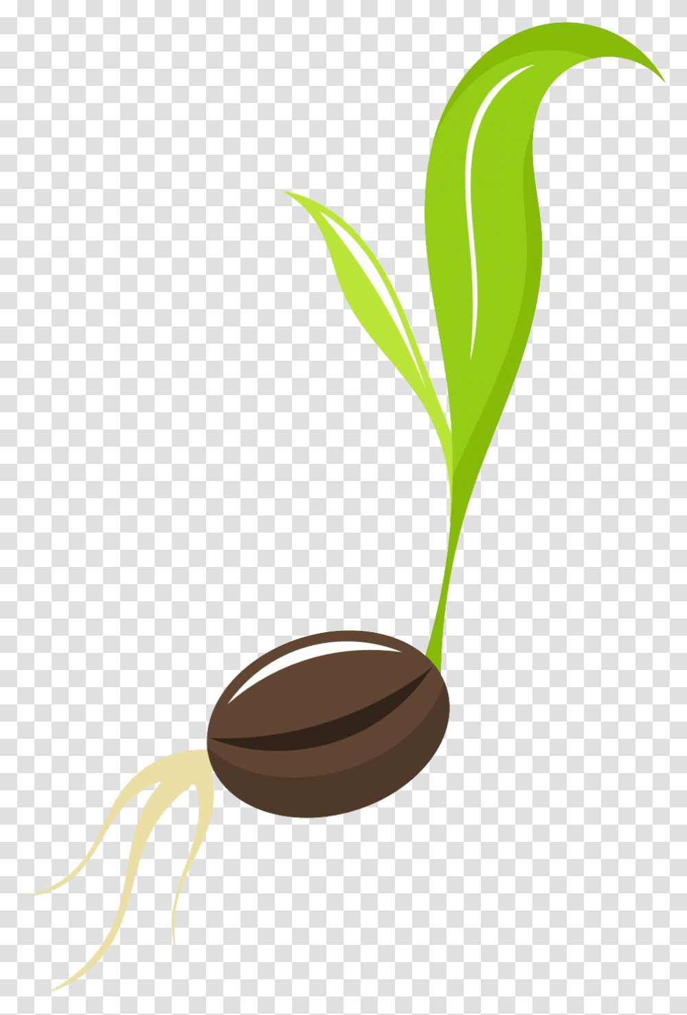 Tree Sprout Clipart Seed To Plant, Vegetable, Food, Produce, Grain Transparent Png