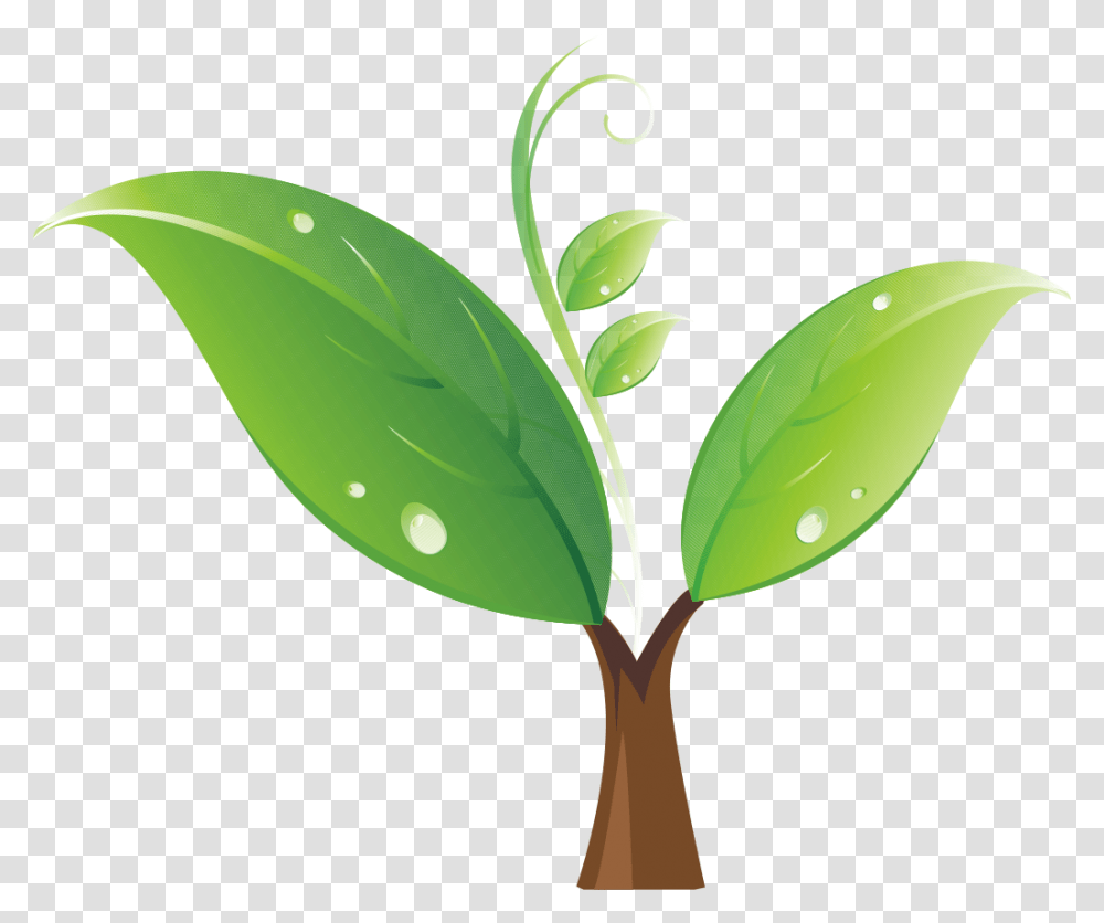 Tree Sprout Free Seedling, Plant, Leaf, Pattern Transparent Png