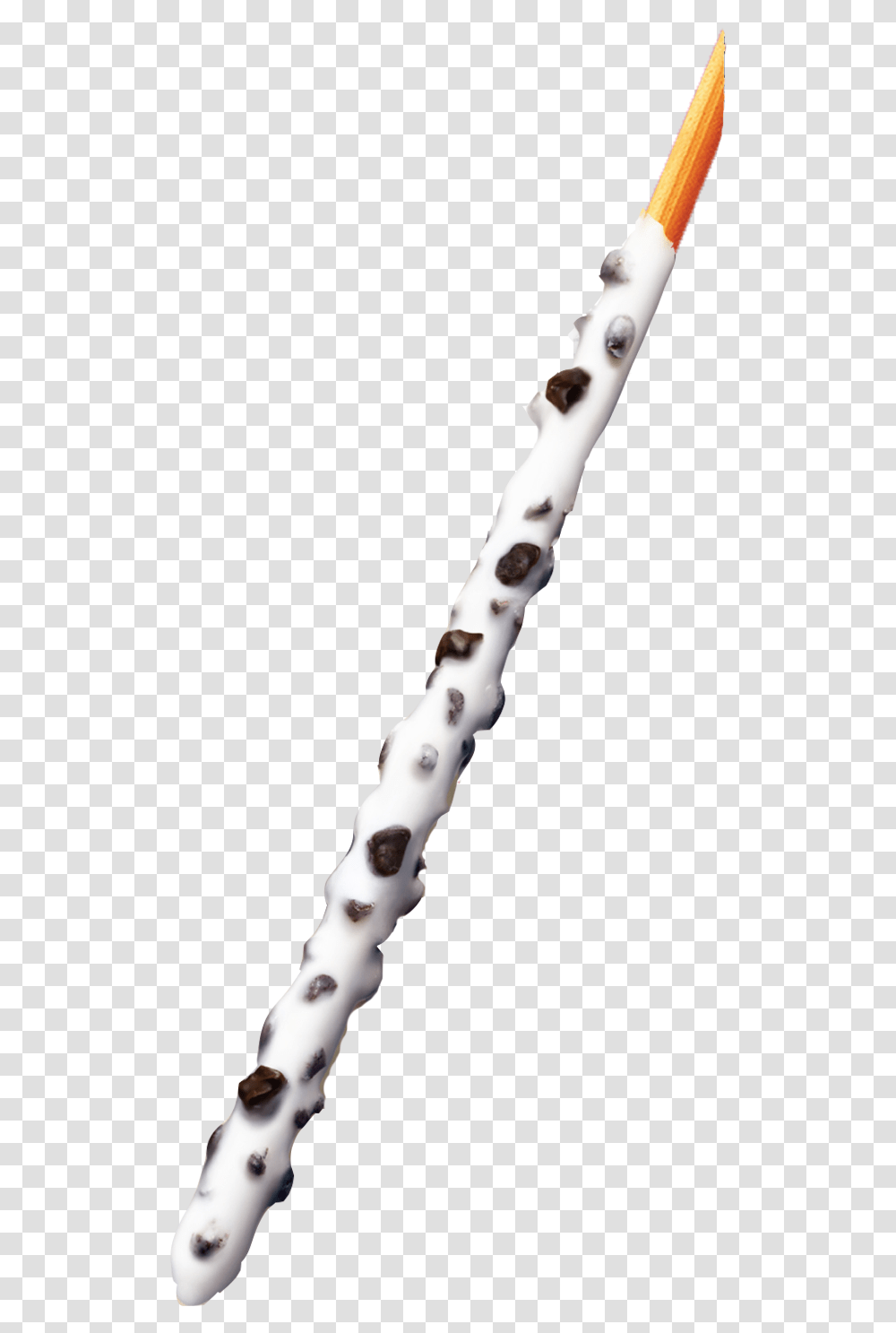 Tree Stick Pepero White Cookies, Person, Human, Wand Transparent Png