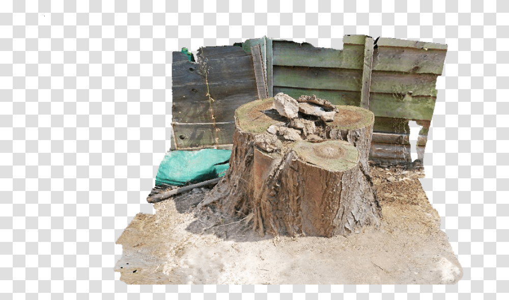 Tree Stump And Surrounding Area Tree Stump Transparent Png