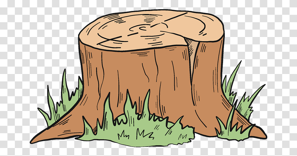 Tree Stump Clipart Tree Stump Transparent Png