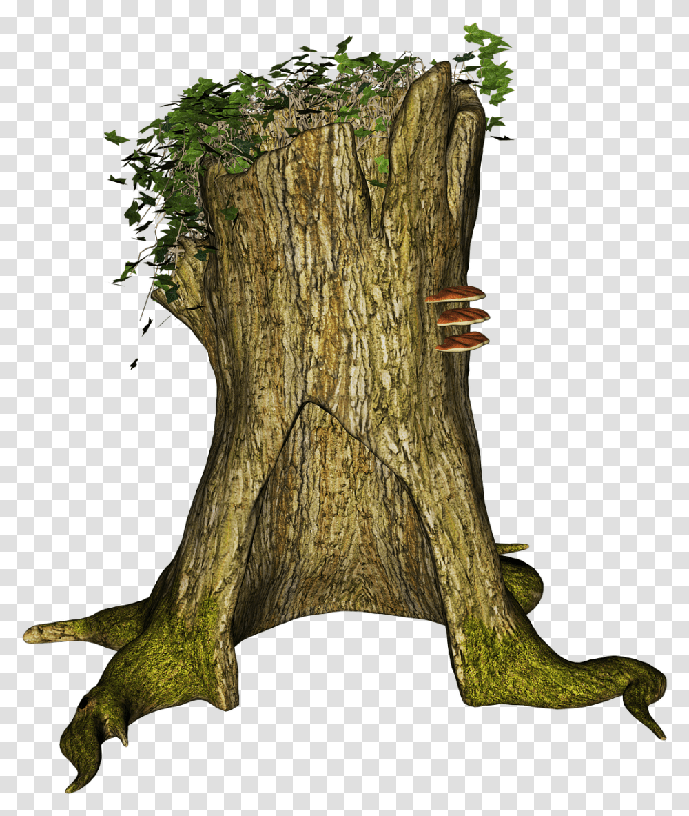 Tree Stump Rhizome Stubben Troncos De Arbol, Plant, Tree Trunk, Axe, Tool Transparent Png