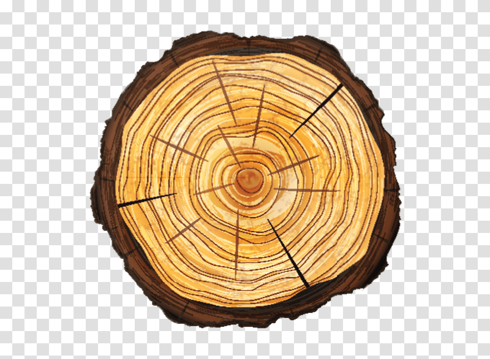 Tree Stump, Wood, Lamp, Plant, Lumber Transparent Png