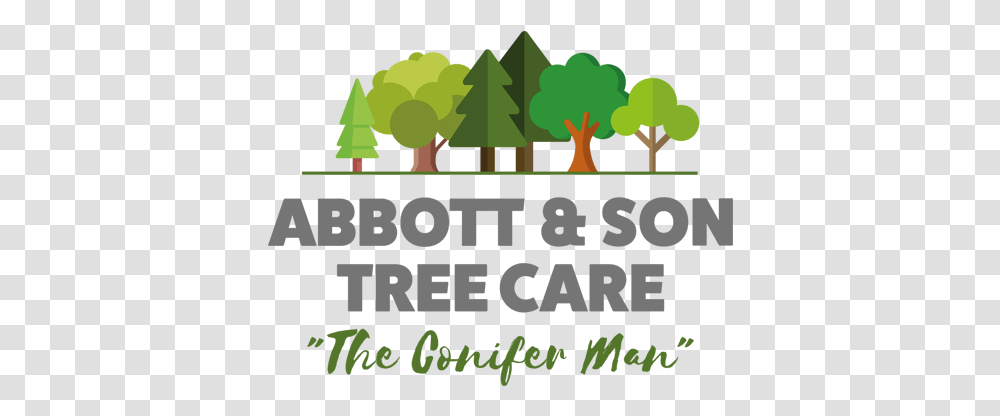 Tree Surgeon Leicester & Leicestershire Abbott Son Tree, Text, Vegetation, Plant, Poster Transparent Png