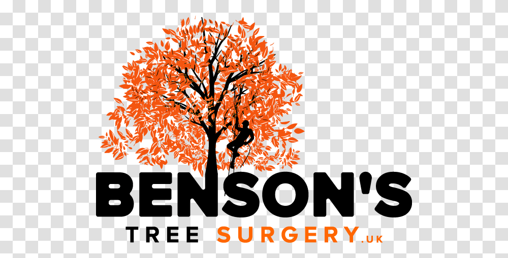 Tree Surgery Ltd - Arborist And Surgeon Tree Surgery Logo, Chandelier, Lamp, Halloween, Text Transparent Png