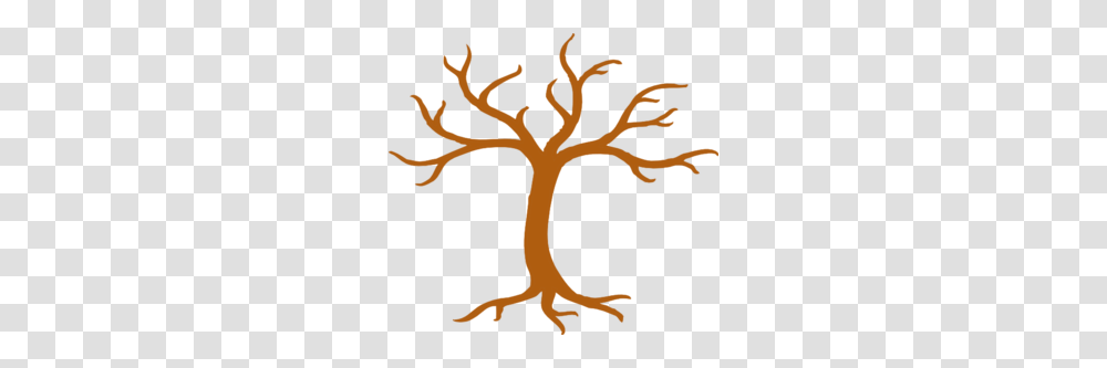 Tree Tall No Leaves Clip Art, Plant, Tree Trunk, Root, Poster Transparent Png