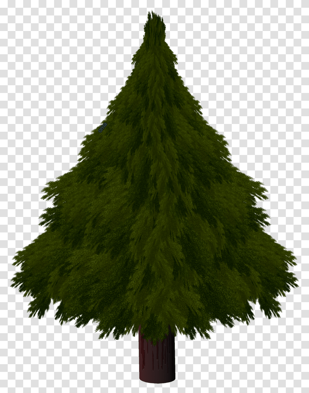 Tree Texture Christmas Pine Texture Draw, Plant, Conifer, Ornament, Fir Transparent Png