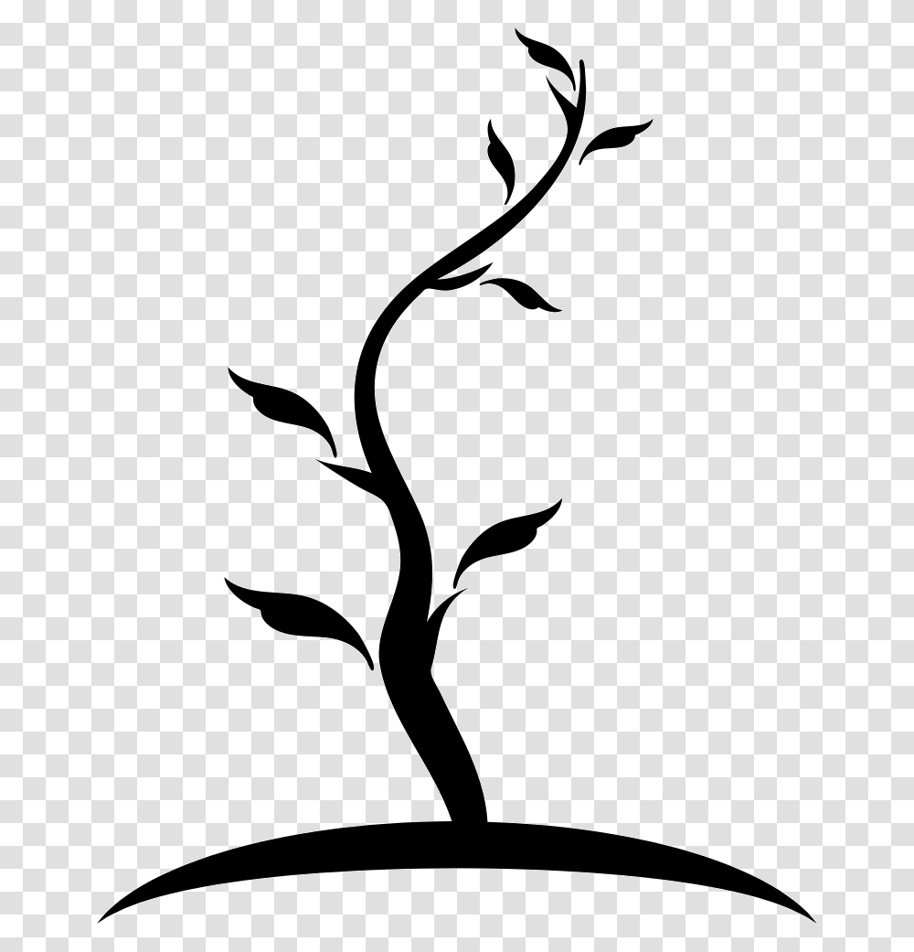 Tree Thin Shape Of Young Trunk With Few Leaves Arbol Dibujo Y Tronco, Silhouette, Stencil, Bird, Animal Transparent Png