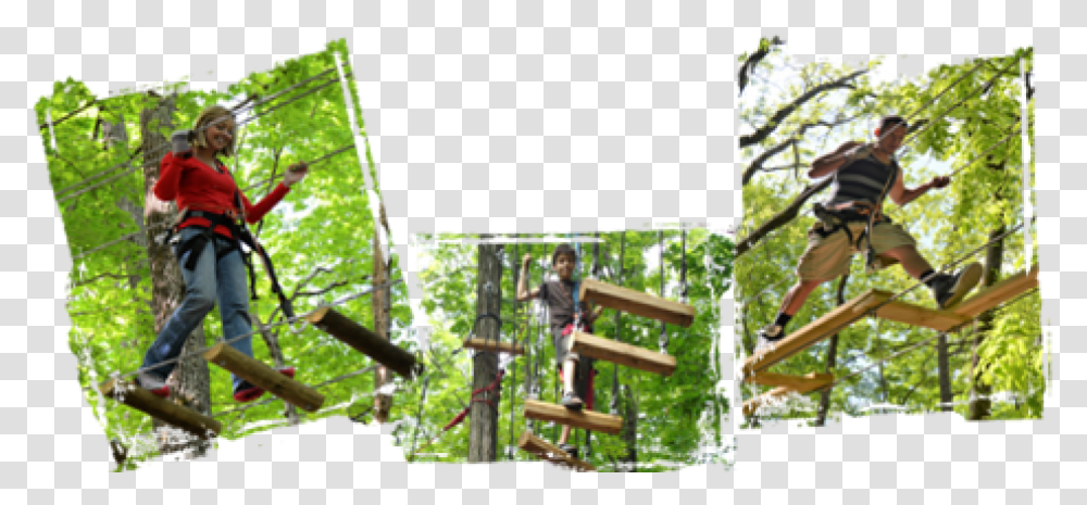 Tree Top Adventure Ropes Course In Sevierville Tn Tree, Person, Outdoors, Garden, Bow Transparent Png