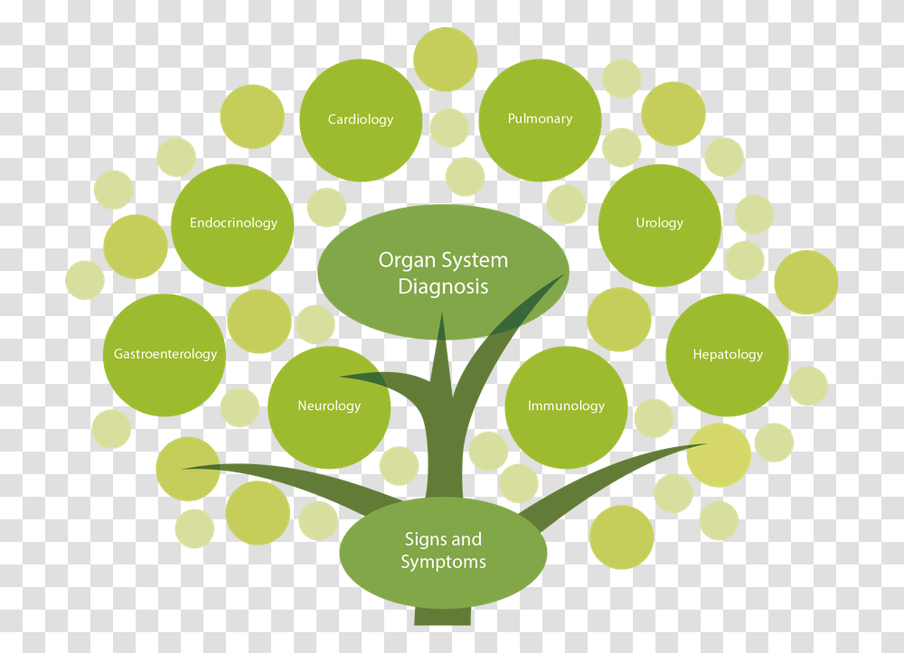 Tree Top Functional Medicine Tree Pdf, Green, Plant Transparent Png