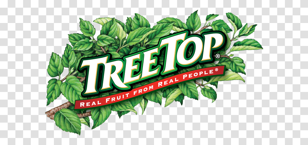 Tree Top Hires New President Ampamp Tree Top Inc, Vegetation, Plant, Green, Land Transparent Png