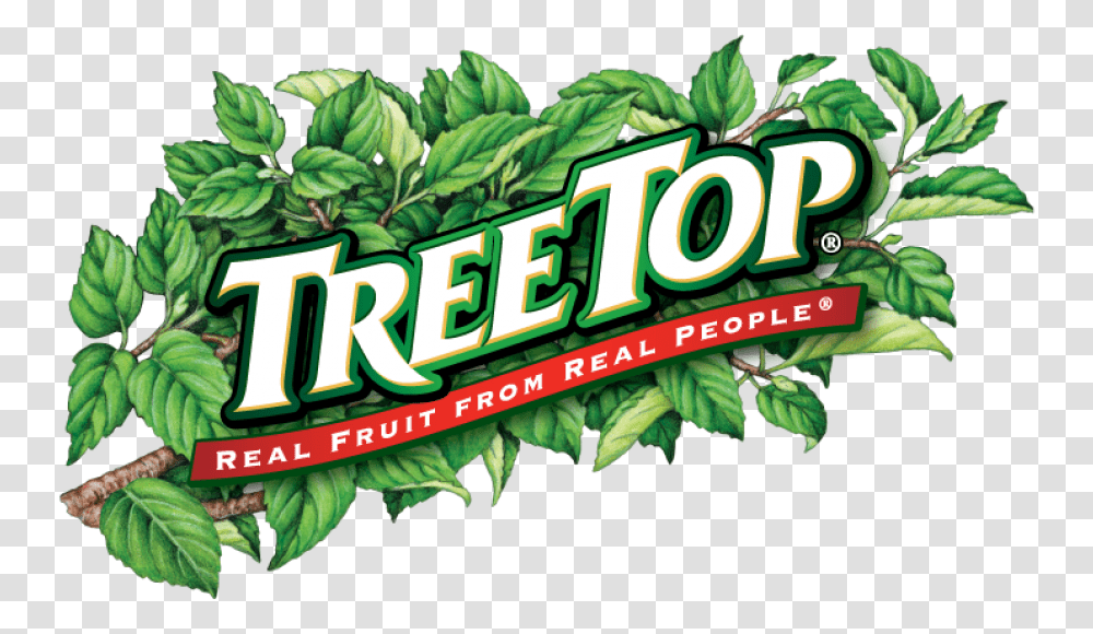 Tree Top Hires New President & Ceo Hope Network Tree Top Inc, Vegetation, Plant, Green, Rainforest Transparent Png