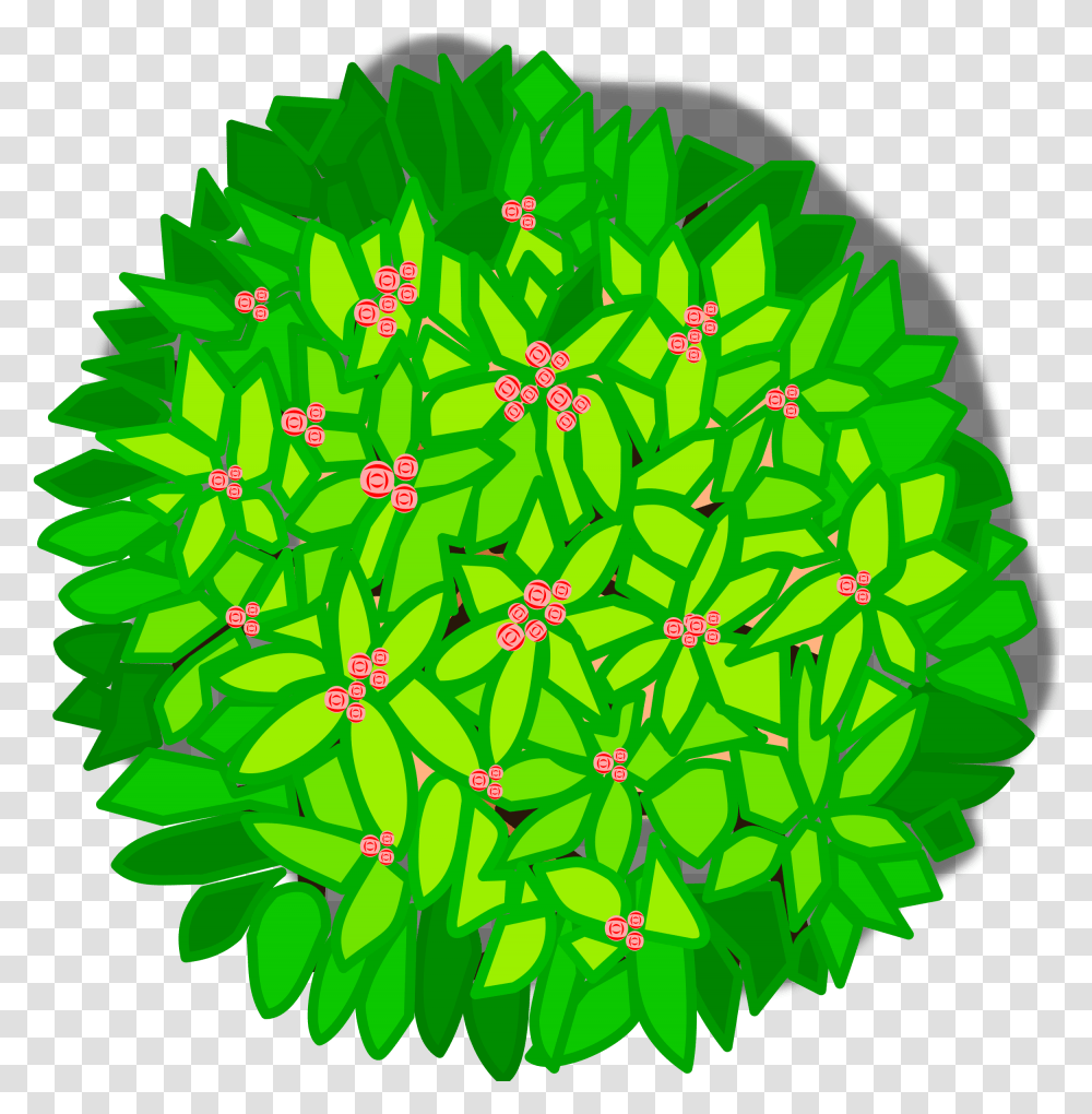 Tree Top View Clipart Tree Top View Clipart, Graphics, Pattern, Floral Design, Ornament Transparent Png